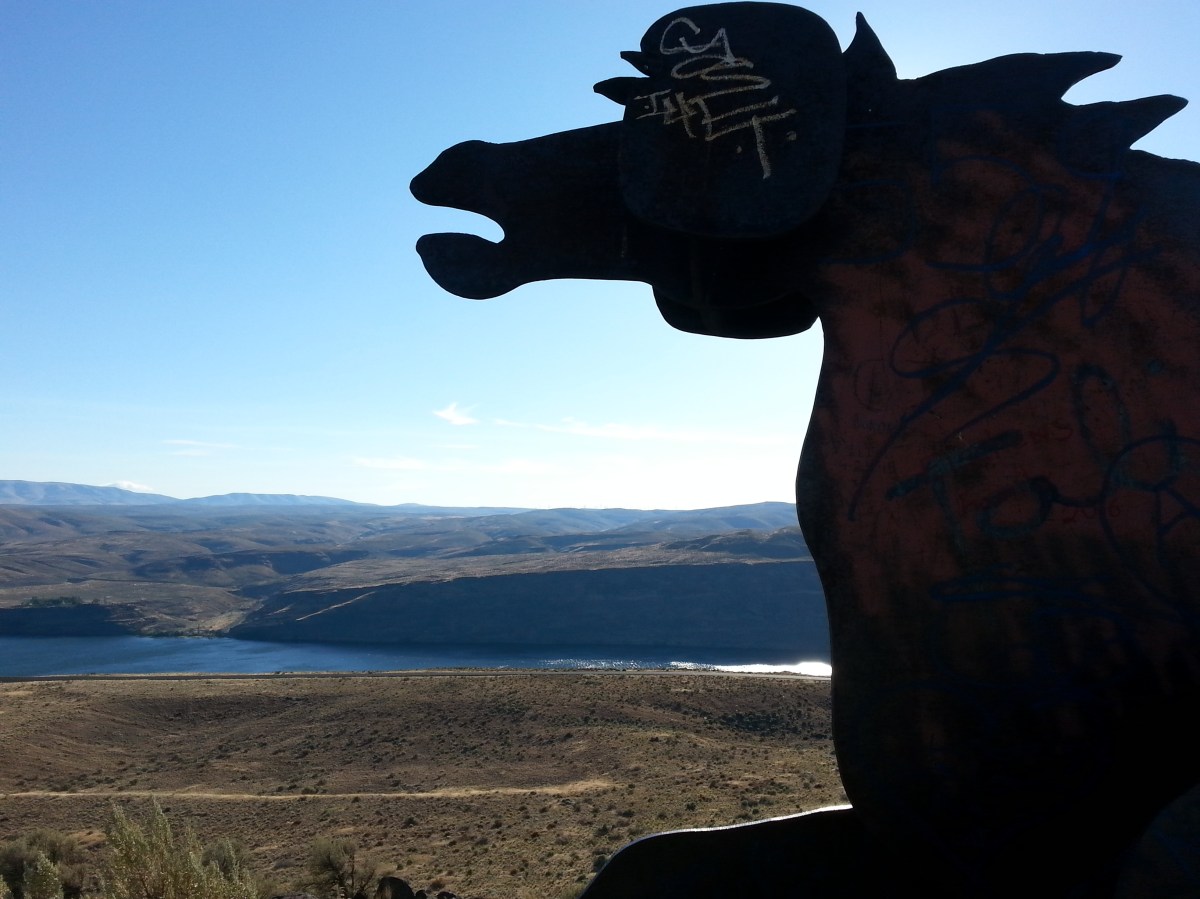 Back in the&nbsp;USA!